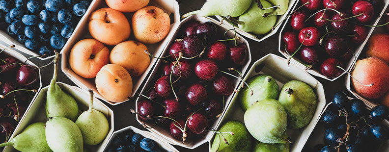 Producteur fruit Montauban