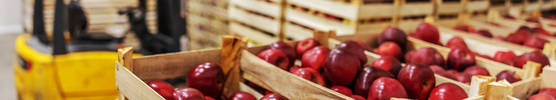 Vente directe de fruits à Montauban