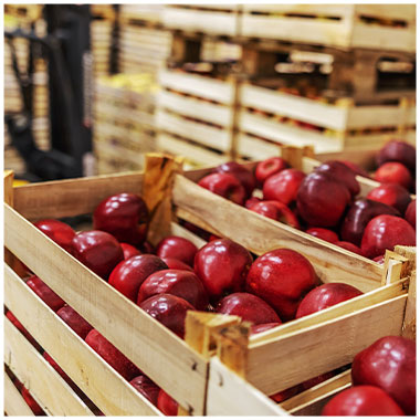 Production durable de fruit Montauban